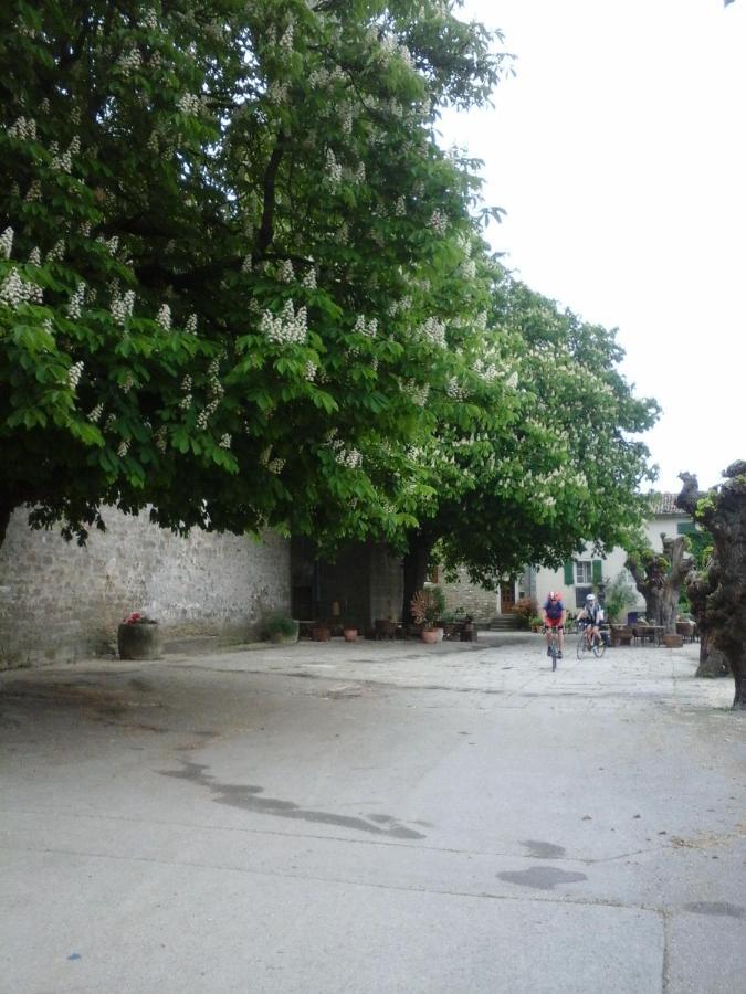 Rooms Svalina (Adults Only) Groznjan Exterior photo